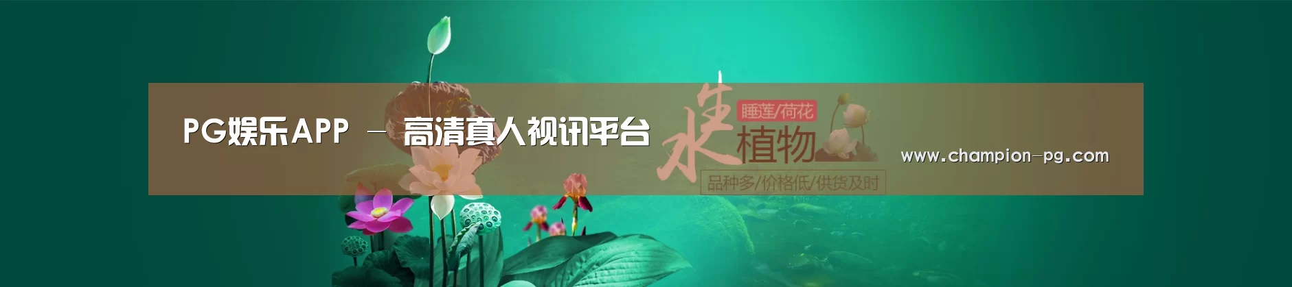 鲜花水草花卉网站模板