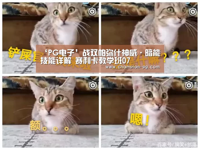 PG电竞APP