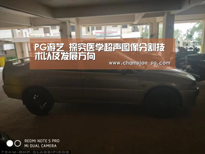 PG游艺_探究医学超声图像分割技术以及发展方向(图2) PG入口